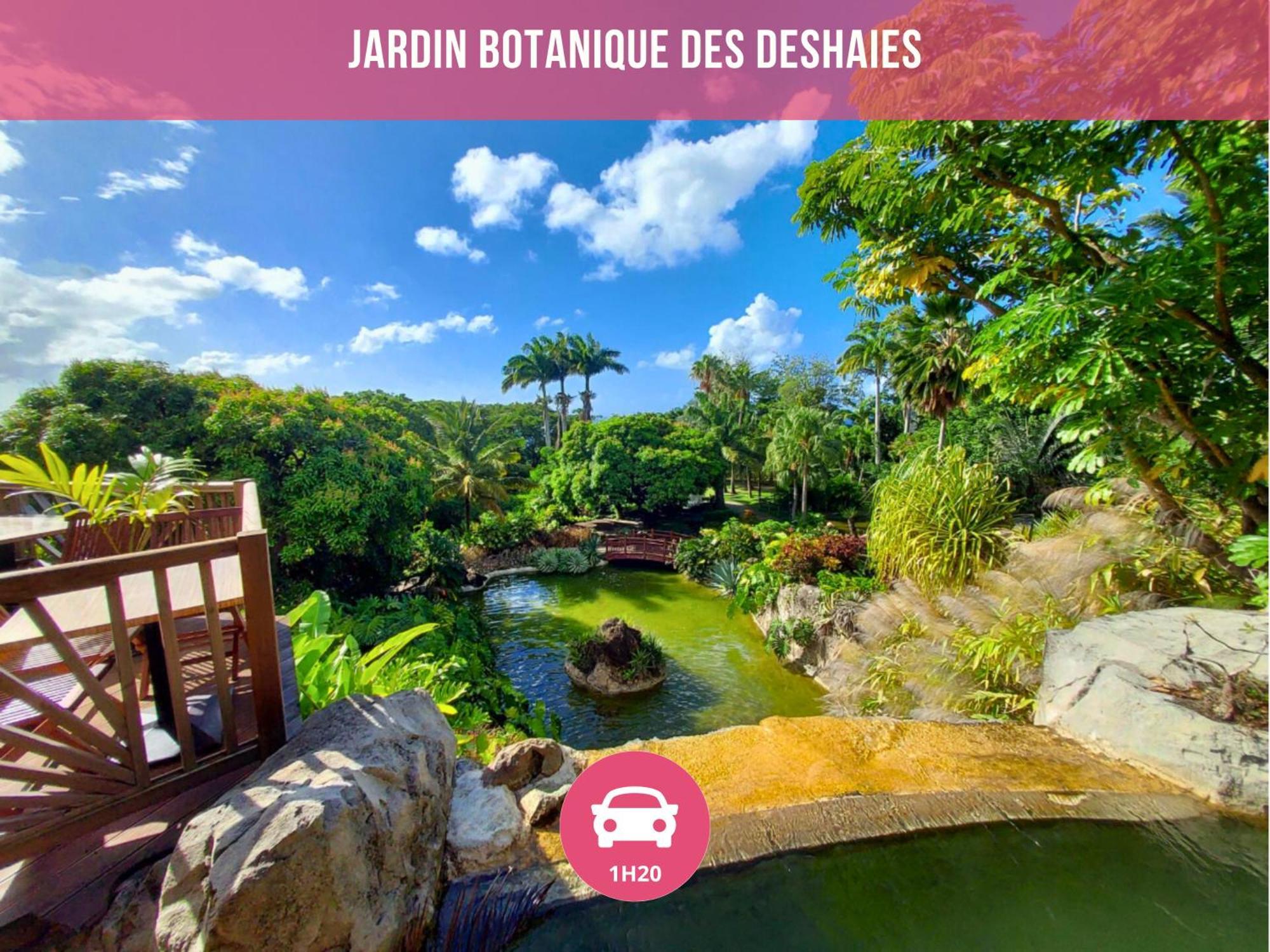 Le Sable Bleu - Evasion Tropicale A Sainte-Anne - Plage 5Min - Piscine - Parking - Logement Climatise - Vue Sur Les Palmiers - Parfait Pour Sejours En Famille Ou Entre Amis المظهر الخارجي الصورة
