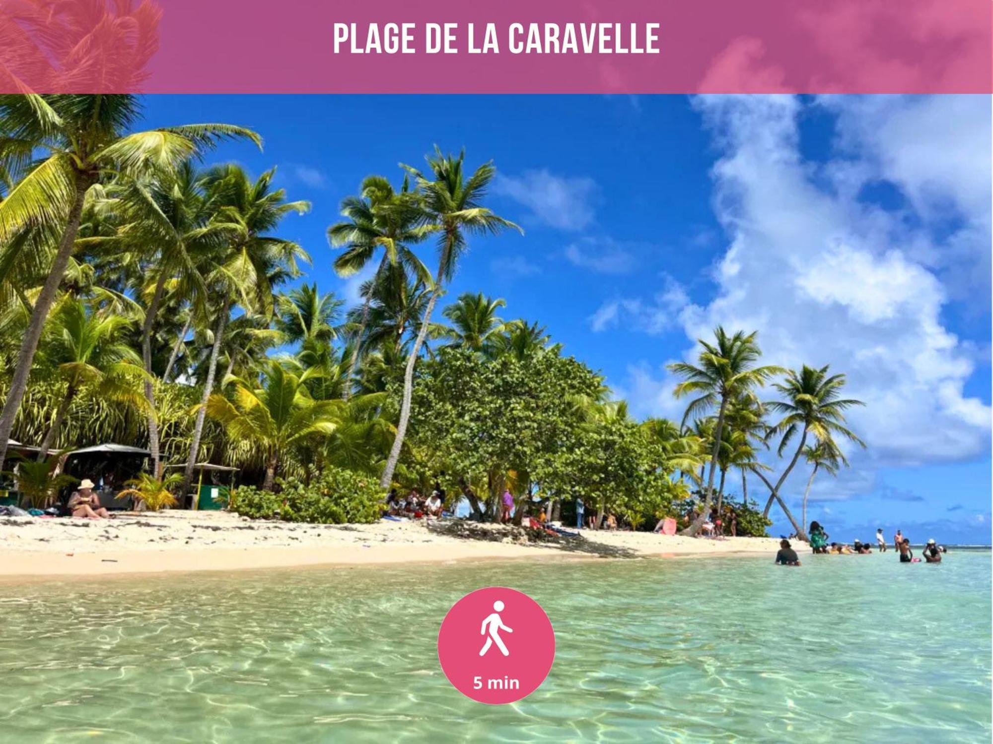 Le Sable Bleu - Evasion Tropicale A Sainte-Anne - Plage 5Min - Piscine - Parking - Logement Climatise - Vue Sur Les Palmiers - Parfait Pour Sejours En Famille Ou Entre Amis المظهر الخارجي الصورة